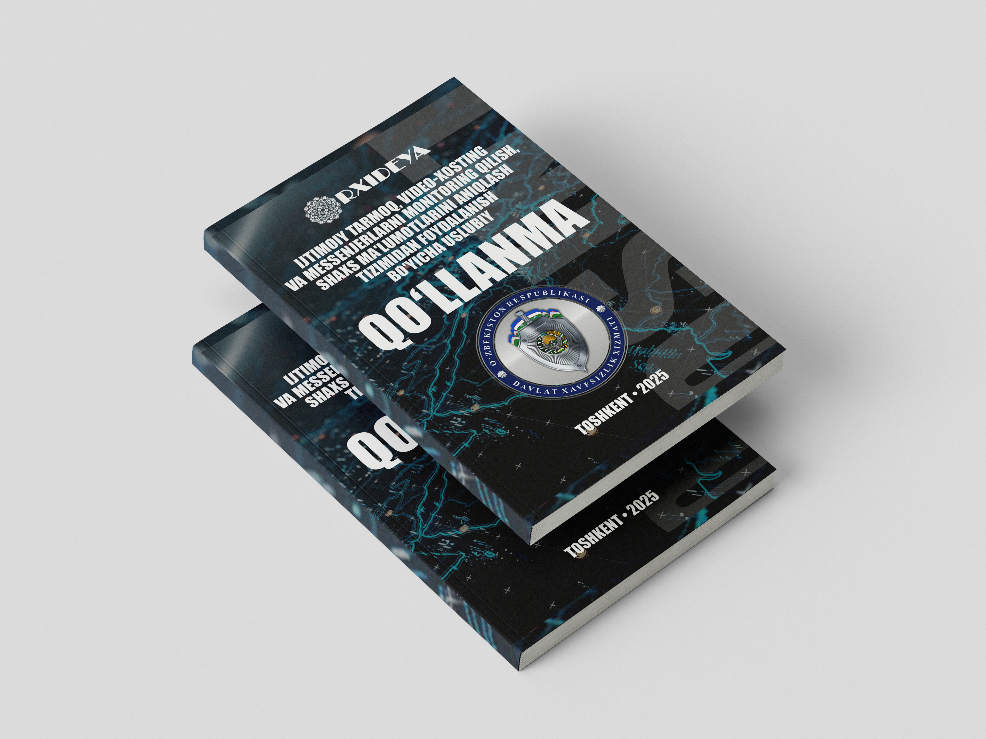 Book cover design - Governmental organization, image 3 of 3